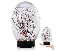 Mini Fish Tank, Small Desktop Aquarium with Led Light, Self Sustaining Ecosystem, No Need to Feed Or Change Water Closed Aquatic Ecosystem for Home Office