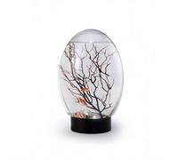 Mini Fish Tank, Small Desktop Aquarium with LED Light, Self Sustaining Ecosystem, No Need to Feed Or Change Water Desktop Fish Bowl, Biosphere Ecosystem, Fish Bowl for Home Office (black)