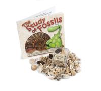 Mini Fossil Box - Genuine Fossil Collection with Study of Fossils Educational Booklet
