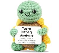 Mini Funny Positive Turtle Gifts, Handmade Crochet Turtle, Small Handmade Turtles Toy with Positive Card, Inspirational Gifts for Women Men Birthday Presents, Emotional Motivational Turtles Decor
