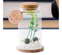 Mini Glass Bottles with Cork,Wishing Bottle | Storage Decoration Miniature Stylish with Wooden Corks for Home Crafts Desktop Ornament Family Friends Drift Message Wishing
