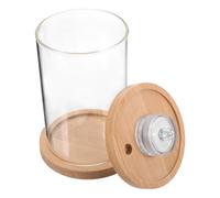 Mini Glass Fish Tank with Detachable Colour LED Light | Pine Wood Base and Lid, Portable Desktop Decor for Tropical Fish, Small Goldfish, Bedside Tables