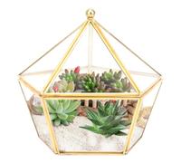 Mini Glass Geometric Terrarium, 6.3inch Air Plant Holder Window Sill Decor Shelf, Glass Flower Pot Succulent Plants Container Planters Terrarium, Indoor Home Garden Tabletop Decor