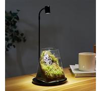 Mini Glass Plant Terrarium with Light 4.1"X5.9" Inches Succulent Air Planter Fern Moss Micro-Landscape Vase for Home Office Tabletop Decoration Container Indoor Wardian Copyright Patent