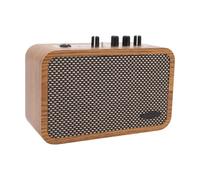 Mini Guitar Amp 10W Portable Electric Guitar Amp, BT Playback Headphone Monitoring, Dual Tone Modes OTG Recording and Wooden Resonance for Practice