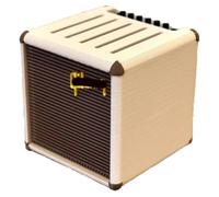 Mini Guitar Amp Pick Holder, 3D Printed Stylish Personalized Pick Display Organizer for Music Guitar Enthusiasts (White)