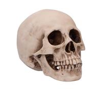 Mini Human Skull Replica 16cm Resin Skull with Realistic Bone Coloration, Subtle Aging and Weathering Effects, Anatomically Detailed Statue for Gothic Decor - Craniology