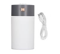 Mini Humidifier 300ml | Cool Mist for Car/Office/Travel (Gray)