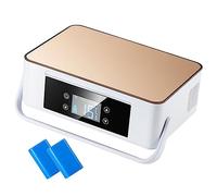 Mini Insulin Cooler Travel Case, Refrigerator Portable Insulin Cooler Box with Handle Keeping Cooling 2-8℃ for Car, Travel, Home 1Battery White