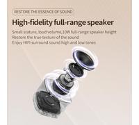 Mini Karaoke Machine Wireless Microphone and Speaker Set with 2 Microphone Rechargeable LED Color Light Handheld Mic Karaoke Speaker S for Birthday Party Desktop Fitness Outdoor