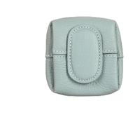 Mini Lyches Pattern Coin Purse, Women Japanese Small Change Holder Pouch Wallet,Portable Leather Storage Bag Buckle Key (Sky Blue)
