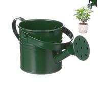 Mini Metal Watering Cans For Kids -Small Galvanized Iron Watering Pot For Indoor Plants, Vintage Style Flower Waterer With Handle | Ideal For Succulents, Garden, Home & Craft Party Favours Colorful