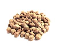Mini Mixer Dog Biscuits 1kg Floating Fish Bait Our No 1 Selling Float Fishing Bait LGVM