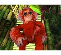 Mini Monkey/The Five Senses