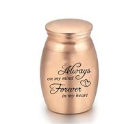 Mini Pet Memorial Small Urns for Dog and Cat Ashes, Small Memorial pet urn, Stainless Steel Cremation Urn, Pet Paw Print Keepsake Urn for Ashes, Always on My Mind, Forever in My Heart