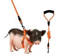 Mini Pig Harness, Adjustable Small Pig Harness with Leash Infinity Style Lead and Soft Foam Handle for Small to Medium Pet Pigs Walking Training Jogging (Red, S)