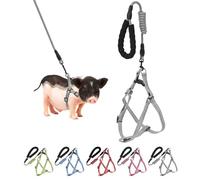 Mini Pig Harness, Adjustable Small Pig Harness with Leash Infinity Style Lead and Soft Foam Handle for Small to Medium Pet Pigs Walking Training Jogging (Gren, S)