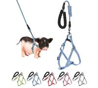 Mini Pig Harness, Adjustable Small Pig Harness with Leash Infinity Style Lead and Soft Foam Handle for Small to Medium Pet Pigs Walking Training Jogging (Blue, L)