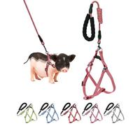 Mini Pig Harness, Adjustable Small Pig Harness with Leash Infinity Style Lead and Soft Foam Handle for Small to Medium Pet Pigs Walking Training Jogging (Red, M)