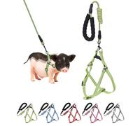 Mini Pig Harness, Adjustable Small Pig Harness with Leash Infinity Style Lead and Soft Foam Handle for Small to Medium Pet Pigs Walking Training Jogging (Green, L)