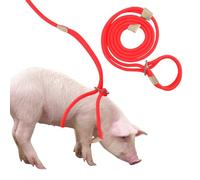Mini Pig Harness & Leash, Adjustable 8 Feet Long Rope for Small to Medium Pet Pigs