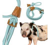 Mini Pig Harness & Leash (S/M) - Fully Adjustable, Infinity Style Lead, Step-in Harness, Potbelly Supplies, All-in-One - Ideal for Small & Medium Pet Pigs (Small, Eggshell Blue)