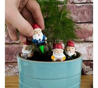 Plant Pot Gnomes