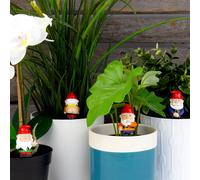 Mini Plant Pot Naughty Gnomes - Set of 4