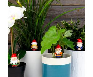 Mini Plant Pot Naughty Gnomes - Set of 4