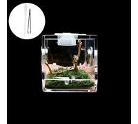 Mini Plastic Reptile Ecological Box- 360° Full View Visually Appealing Breeding Box for Little Spiders, Crickets, Beetles & More - Easy to Clean & Use, Contains Moss and Driftwood (S)