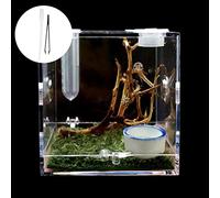 Mini Plastic Reptile Ecological Box- 360° Full View Visually Appealing Breeding Box for Little Spiders, Crickets, Beetles & More - Easy to Clean & Use, Contains Moss and Driftwood (L)