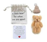 Mini Plush Worry Bear with A Hat,Handmade Mini Plush Teddy Bear,My Little Worry Bears,Handmade Positive Small PlushBear with Encouragement Little Card,Soft Pocket B-ear for Lovers,Family,Friend