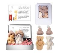 Mini Plush Worry Bear with A Hat, Pocket Hug Bear, Handmade Positive Small Plush Bears in A Box with Encouragement Little Card Inspirational Support Toy Suitable for Family Friend Coworkers Gift