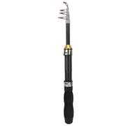 Mini Pocket Fishing Rod Pen Fishing Pole For Sea Fishing Outdoor Saltwater Freshwater Fishing(1M)