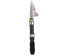 Mini Pocket Fishing Rod Pen Fishing Pole for Sea Fishing Outdoor Saltwater Freshwater Fishing(2.3M)