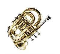 mini pocket trumpet B-flat Lacquered Gold Pocket Trumpet B-flat Palm Size Miniature Trumpet Brass Instrument Pocket Trumpet (Color : 06)