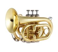 Mini Pocket Trumpet in Bb - Complete Brass Instrument Set with Mouthpiece, Gloves, Cleaning Cloth & Carrying Case - Portable & Compact