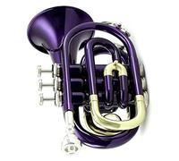 mini pocket trumpet Professional Pocket Trumpet Flat B Bb Tone Brass Wind Instrument With Mouthpiece Gloves Case Pocket Trumpet (Color : 04)