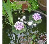 Mini Pond Complete Set Pond Plants Mini Pond Decoration with 2 Water Lilies Artificial Flowers 6 Swimming Balls for Mini Pond Zinc Tub for Garden Magicery