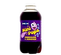 Mini Pop Assorted Flavoured Soft Drinks Sugar-Free 330ml each Bottles 24 or 12 Pack Cola, Lemonade, Dandelion & Burdock, Orange, RaspBerry, Bubble Gum (12 Bottles, Dandelion & Burdock)