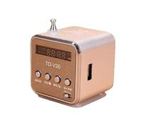 Mini Portable Digital Radio TDV26 Retro Rechargeable AM FM Radios Battery Powered Small Speaker TF Card Music Player with Extendable Antenna Display Xmas Gfits for Elderly Home Car Travel Outdoor