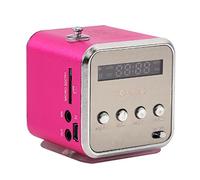 Mini Portable FM Radio Speaker, Digital Stereo MP3 MP4 Music player Support TF Card USB Disk FM (粉色)