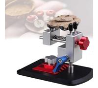 Mini Precision Bench Vise, 2 in 1 Table-top Vise, 360° Adjustable Holder, Small Tabletop Vice for Craft Sculpture Model Making