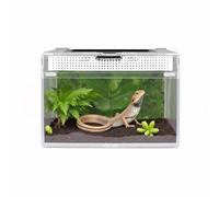 Mini Reptile Terrarium,20*20*18cm Jumping Spider Enclosure Starter Kit, Leopard Gecko Habitat Container for Small Reptiles,Amphibians,Lizard,Mantis,Corn Snake,Turtle,Frog,Chameleons (8*8*7inch)