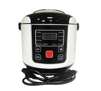 Mini Rice Cooker 2L for Travel, 12V Car & 24V Truck, Perfect for 2-4 People, Compact Design for Self-Driving Tours, Ideal for Camping & Road Trips