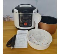 Mini Rice Cooker, 2L Small Electric Travel Capacity Compact and Portable Riskokare Keep Warm Function Suitable For 2-4 People 24V Cookers For Car Truck Safe Cooking User (24V)