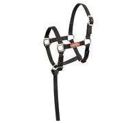 Mini rope halter for foals Premiere Brisk