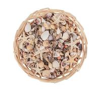 Mini Seashells,DIY Crafts Making | DIY Wedding Decor Shells,for Hobbyists Professionals Kids Art Teachers Artists Aquarium Fish Tank Holiday Home Office Classroom Party Studio