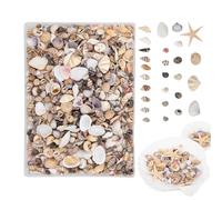 Mini Seashells Mix - Tiny Starfish Shells For DIY Crafts, Aquarium Decor, Resin Art Supplies, Natural Craft Shell Set | Decorative Crafting Material For Kids Adults Beginners Artists Teachers, Home S