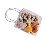 Mini Seashells Natural Sea Theme Candle Making Starfish